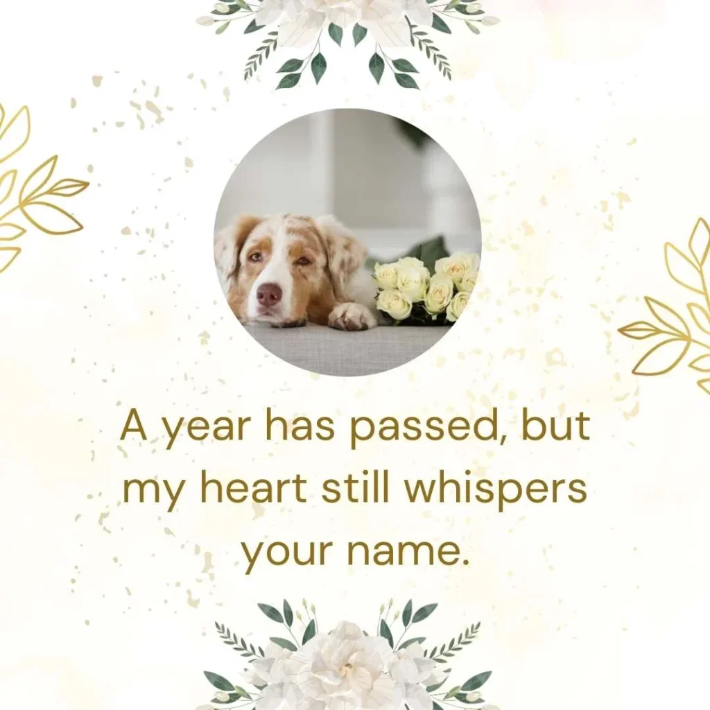 Heartfelt 1 Year Pet Death Anniversary