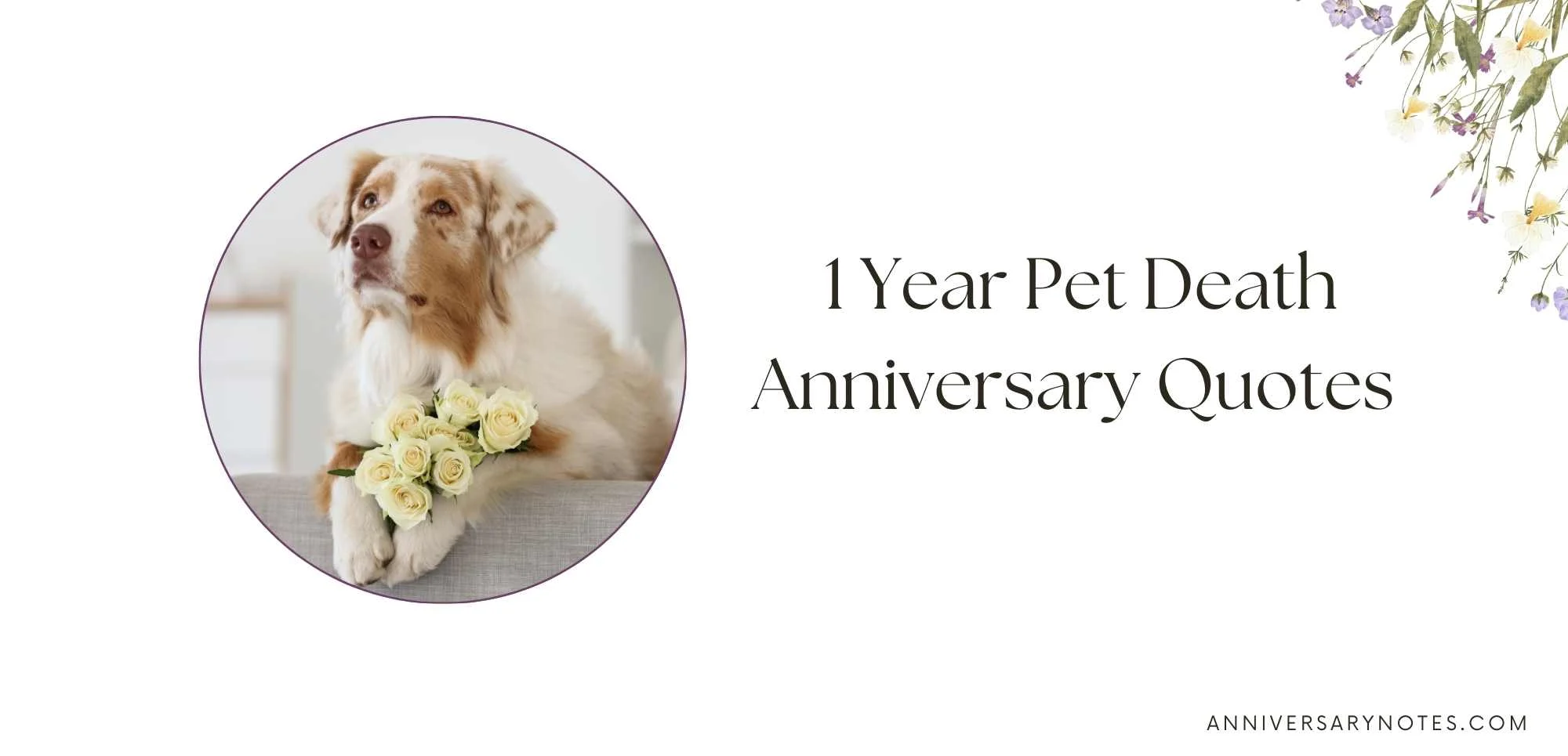 1 Year Pet Death Anniversary Quotes 